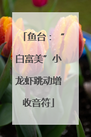 鱼台：“白富美”小龙虾跳动增收音符
